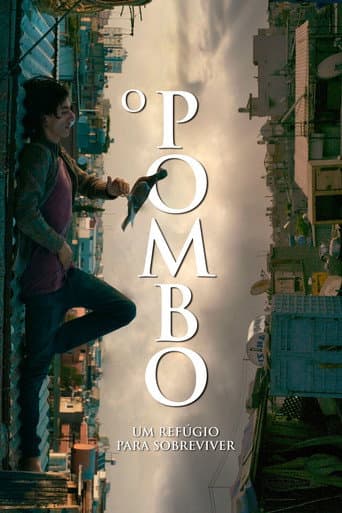 O Pombo - Um Refúgio para Sobreviver
