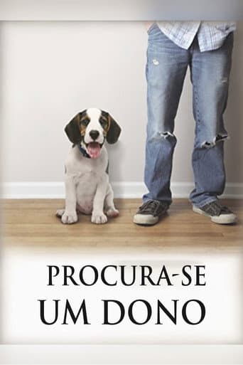 Procura-se um dono