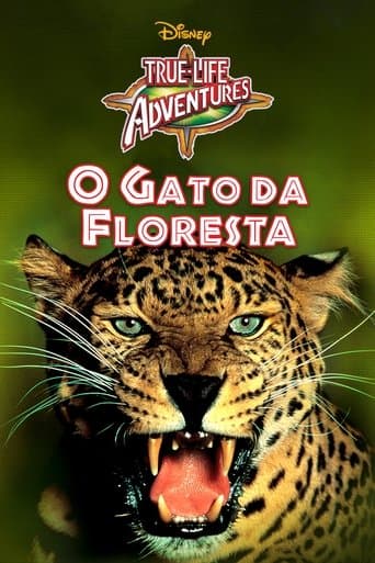 O Gato da Floresta