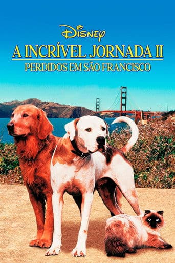 A Incrível Jornada II: Perdidos em São Francisco