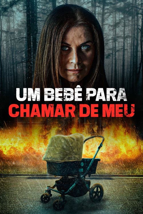 Um Bebê Para Chamar de Meu