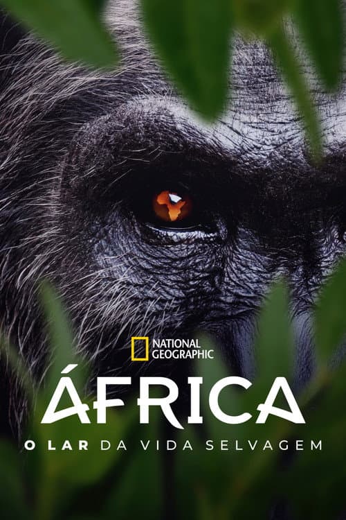 África: O Lar da Vida Selvagem