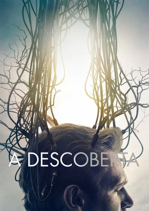 A Descoberta