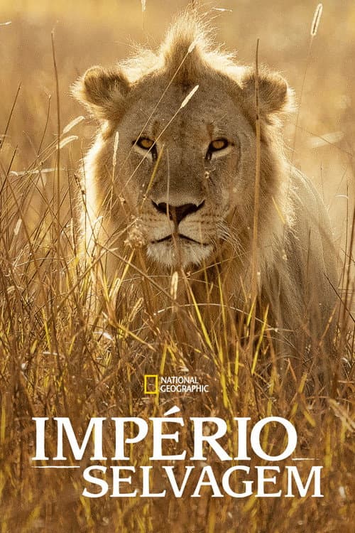 Império Selvagem