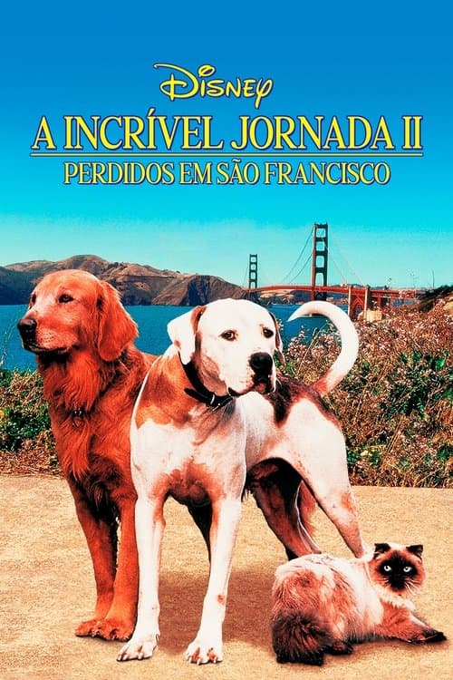 A Incrível Jornada II: Perdidos em São Francisco