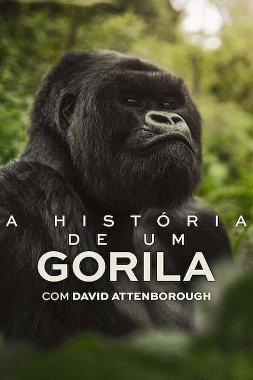 A História de Um Gorila com David Attenborough