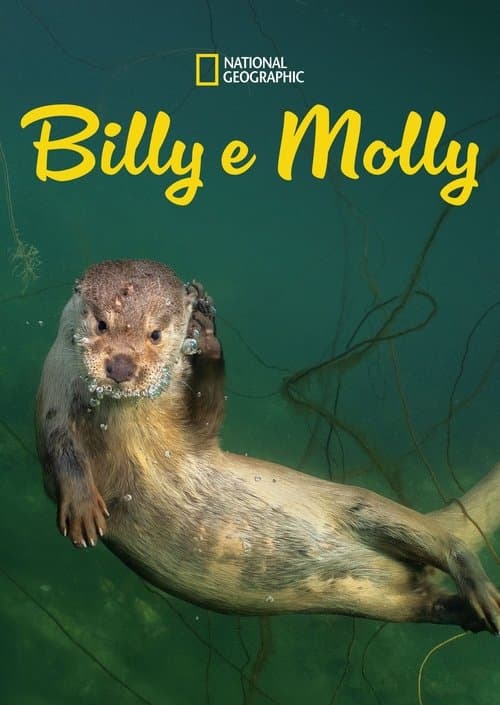 Billy e Molly: Uma História de Amor Diferente