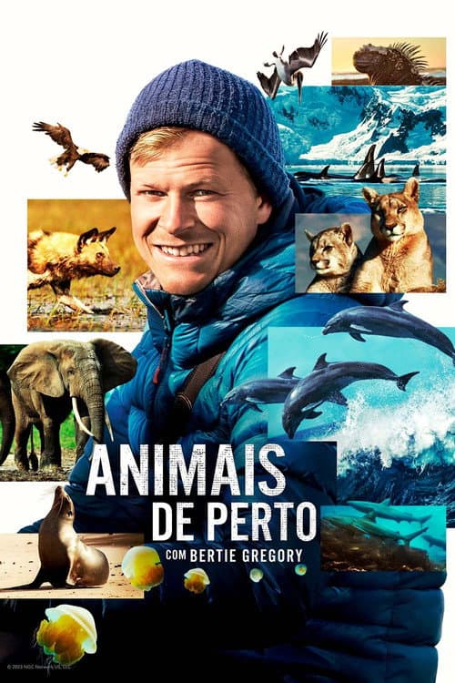 Animais de Perto com Bertie Gregory