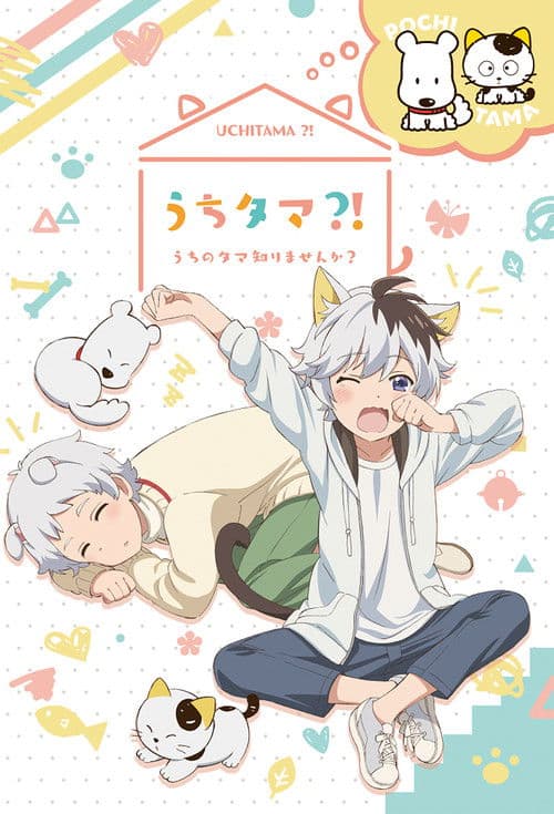 Uchitama! Have you seen my Tama?